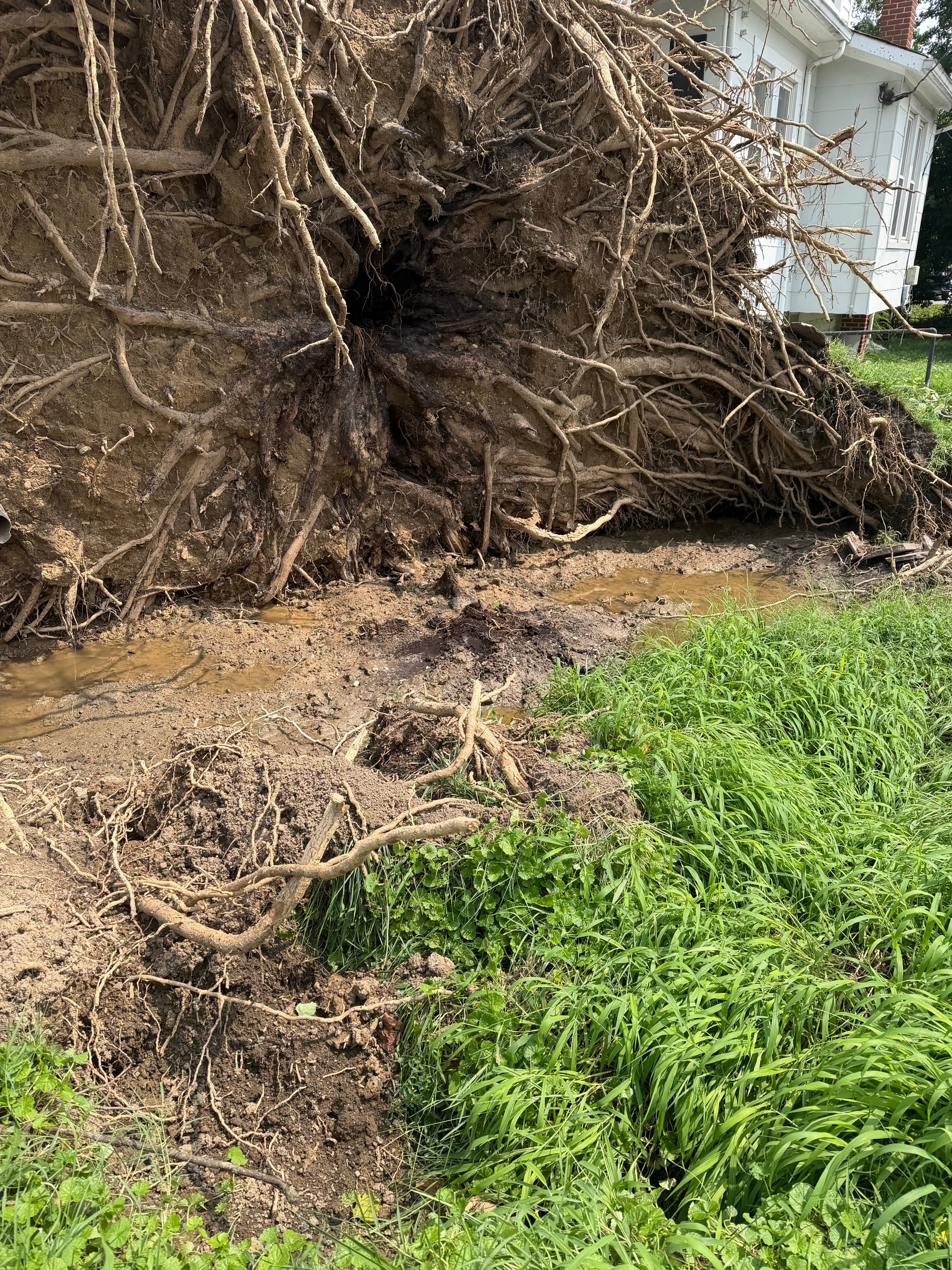 Arundel Tree Service crane truck removing large uprooted tree after storm damage in Maryland
