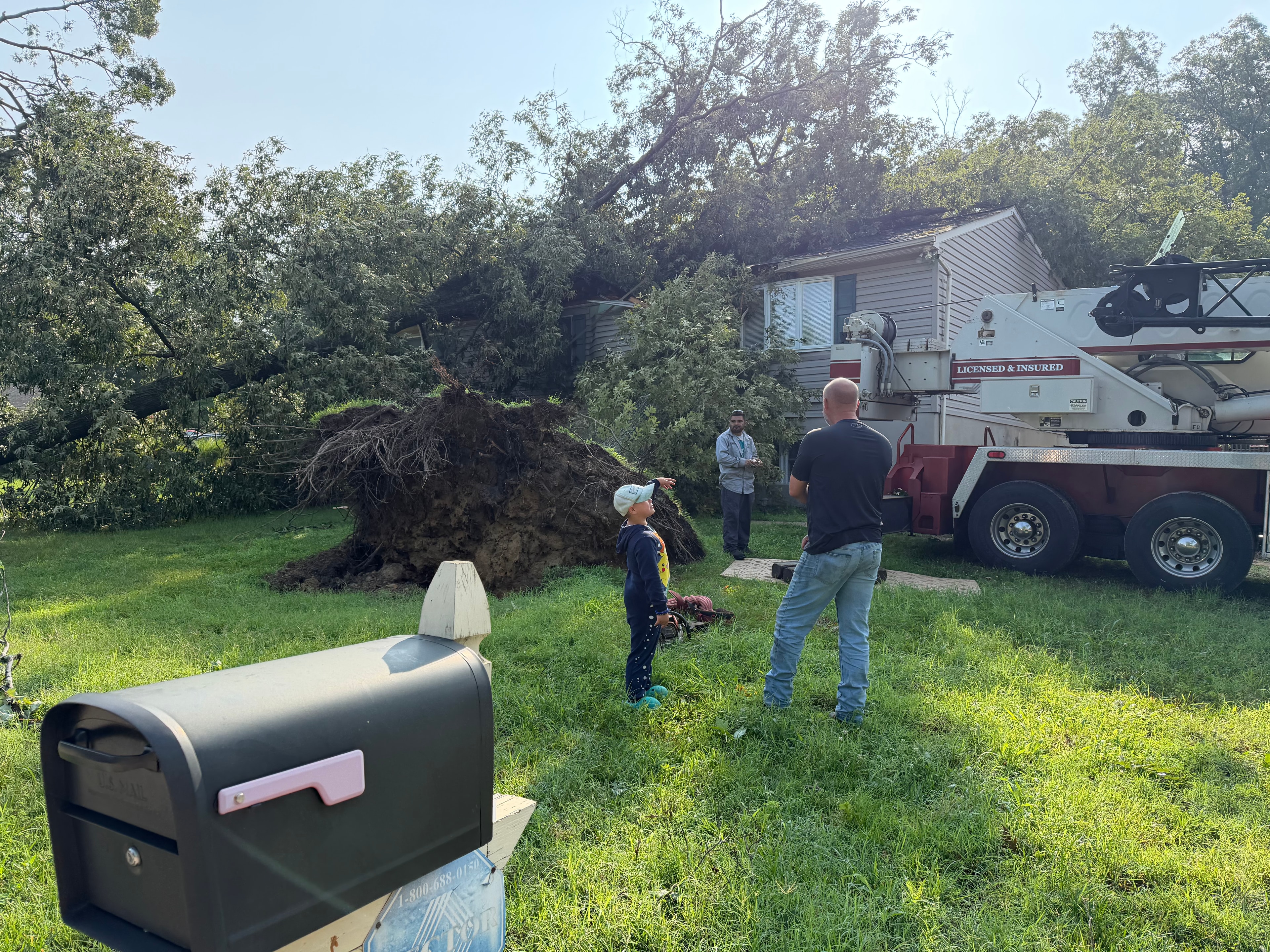 Arundel Tree Service crew assessing large uprooted tree leaning against Maryland home — licensed and insured emergency tree removal