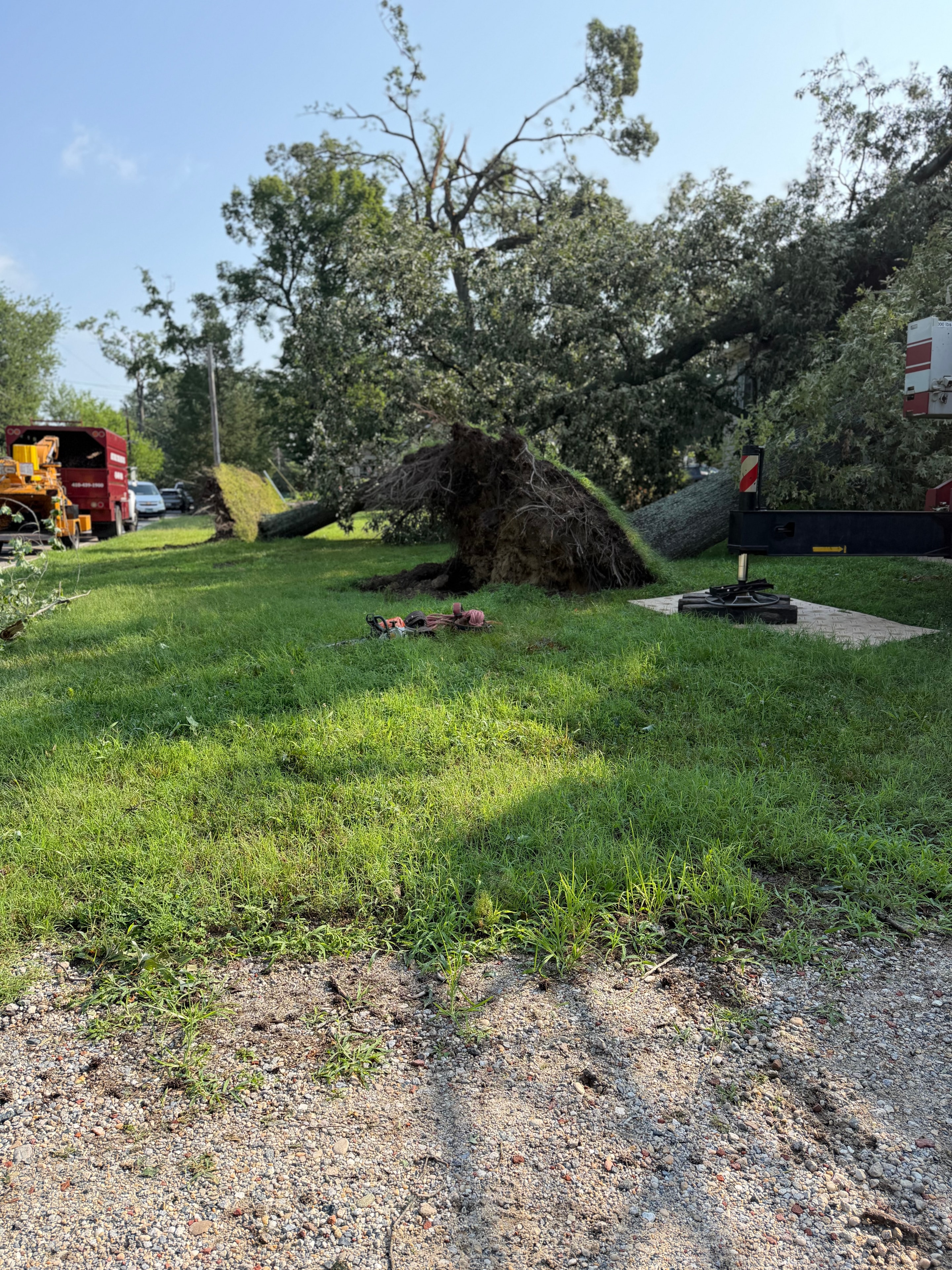 Large storm-uprooted tree with exposed root ball in residential yard — Arundel Tree Service chipper truck staged for emergency cleanup in Maryland
