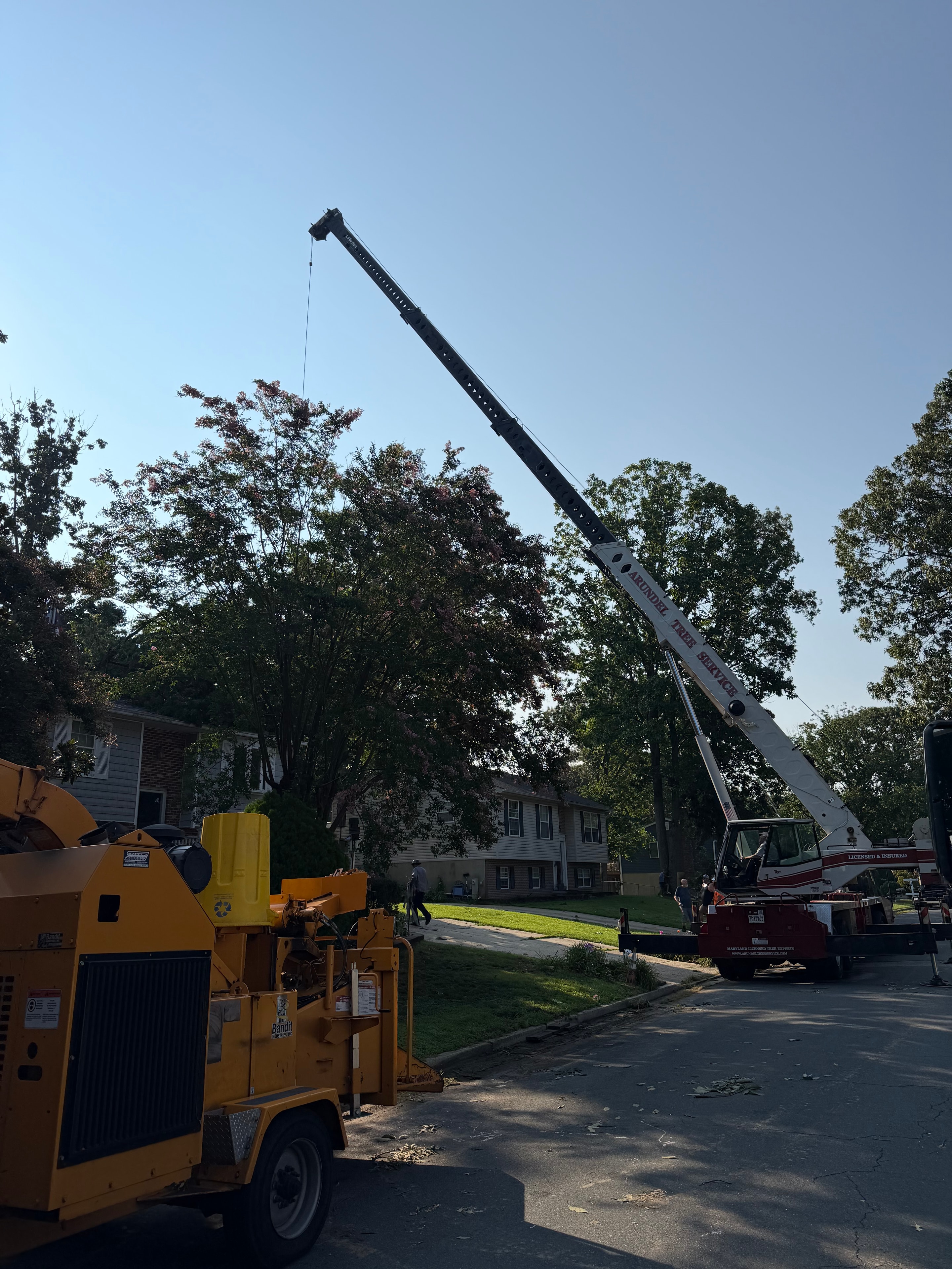 Crane & Chipper Crew — Pasadena, MD