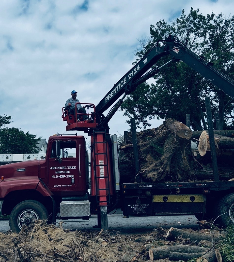 Log Hauling & Debris Removal — Anne Arundel County, MD