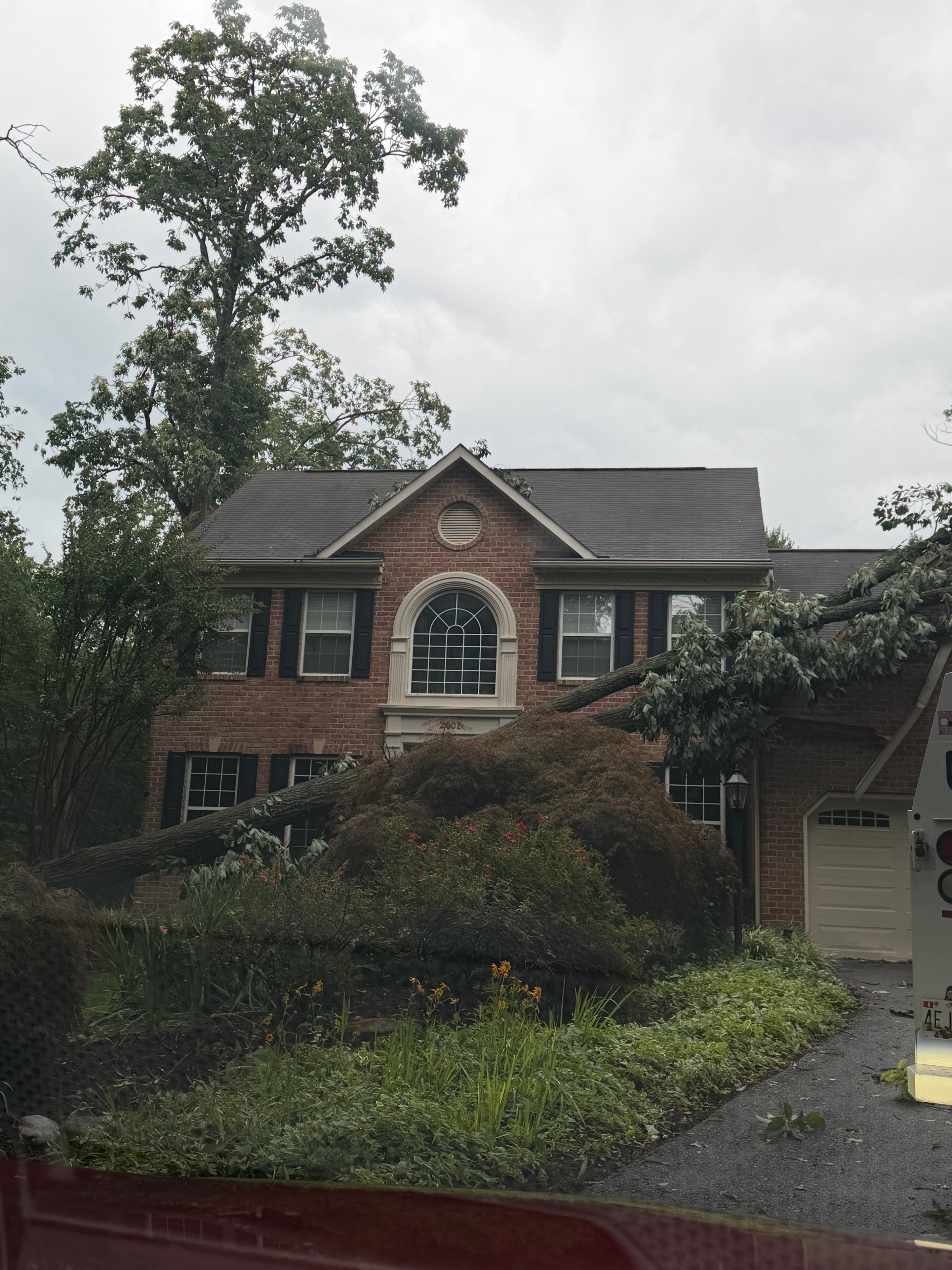 Tornado Damage — Fallen Tree on Brick Home, Pasadena, MD
