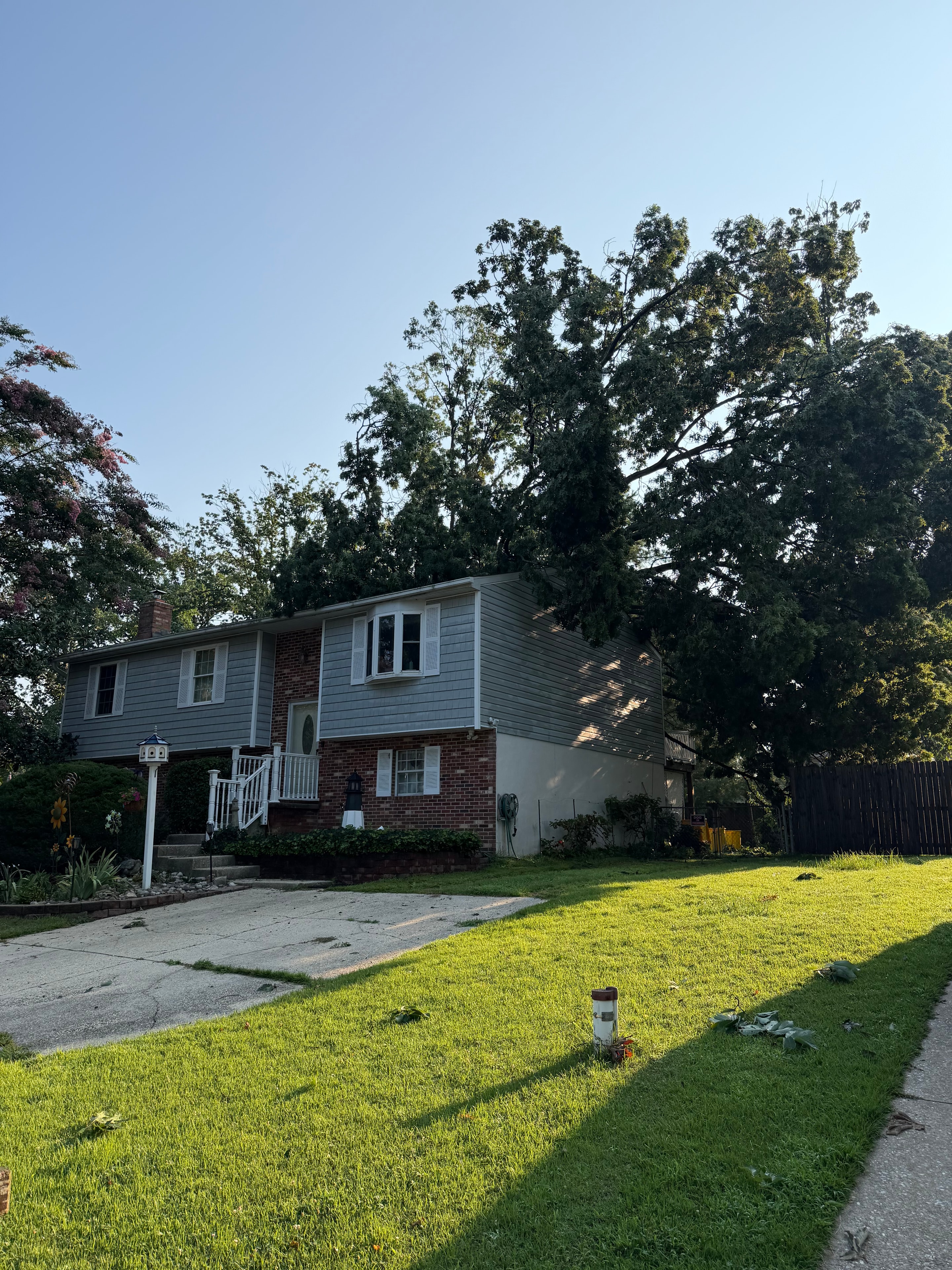 Tornado Damage — Tree Leaning on Home, Pasadena, MD