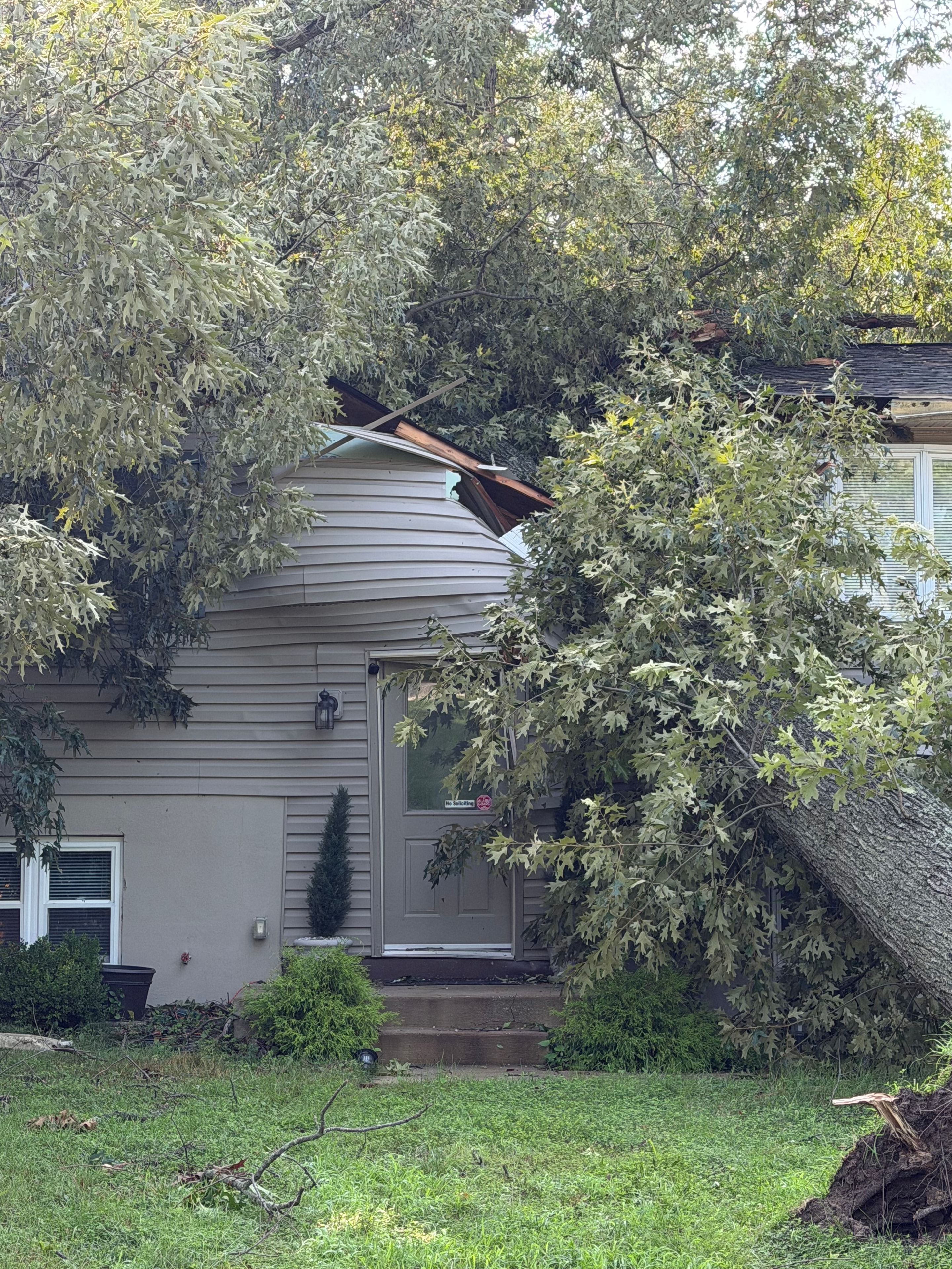 Tornado Damage — Tree Through Roof, Pasadena, MD